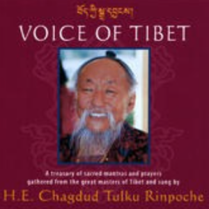 Vajra Guru Mantra ll, Chagdud Tulku Rinpoche