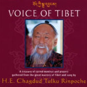 Vajrasattva Mantra, Chagdud Tulku Rinpoche